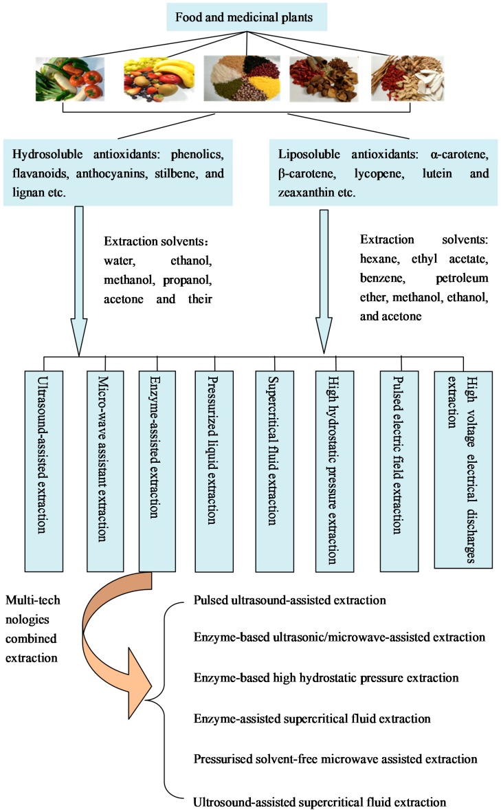 The extraction process of plant extracts